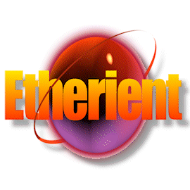 Etherient (Frank's company)